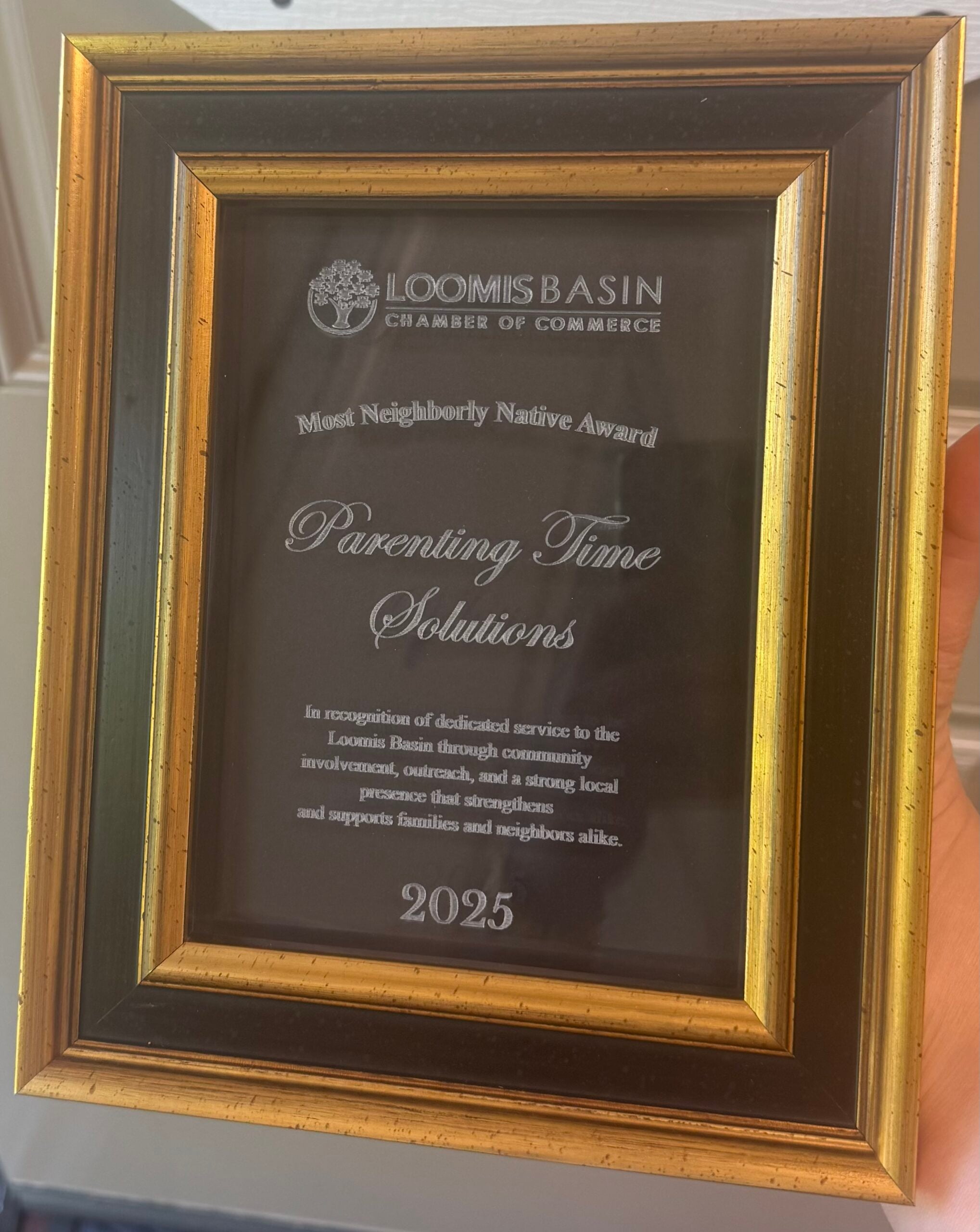 Award recognizing Parenting Time Solutions